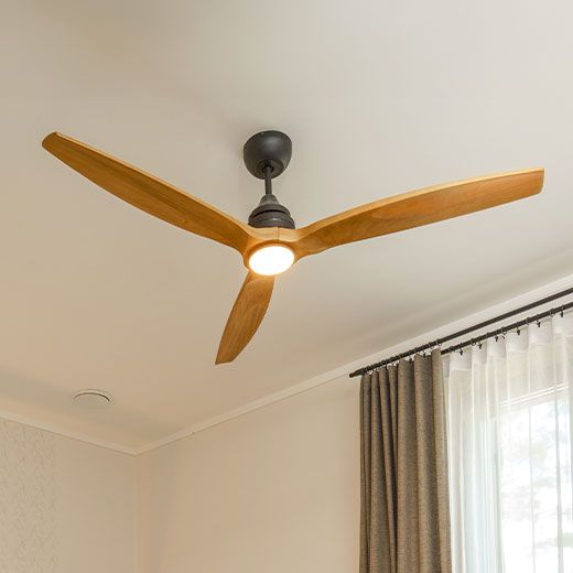 Webster Ceiling Fan Electricians